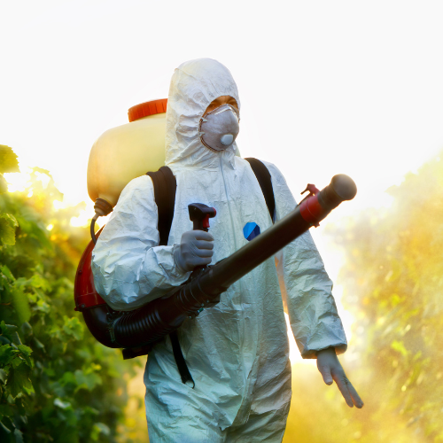 outdoor pest outdoor pest